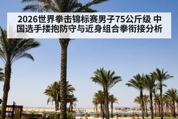 2026世界拳击锦标赛男子75公斤级 中国选手搂抱防守与近身组合拳衔接分析